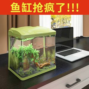 金龍魚掛面價(jià)格波動(dòng)查詢 水族問答