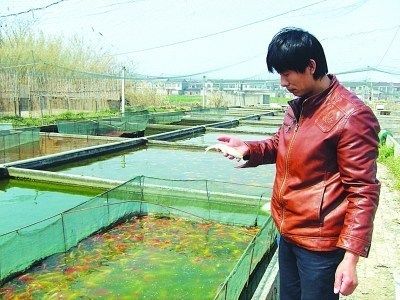 北京龍魚養(yǎng)殖基地在哪里?。ū本堲~養(yǎng)殖基地） 龍魚百科 第4張