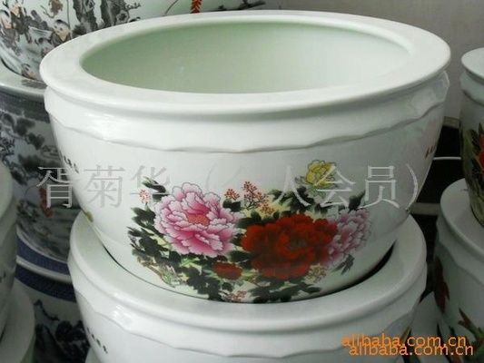 中寧縣花開富貴花卉店（中寧縣花開富貴花卉店中寧縣花開富貴花卉店） 水族周邊