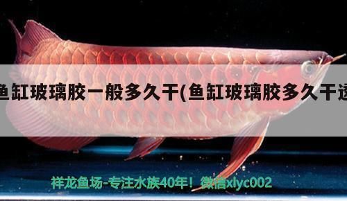 灤平縣中興路街道知魚齋水族館（承德市灤平縣中興路街道知魚齋水族館）