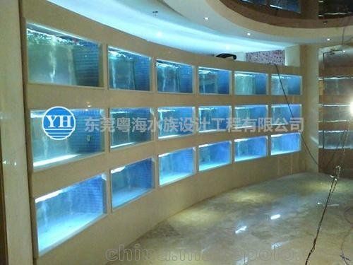 金龍魚調和油的科學配方（使用金龍魚調和油烹飪時有哪些健康益處？） 水族問答