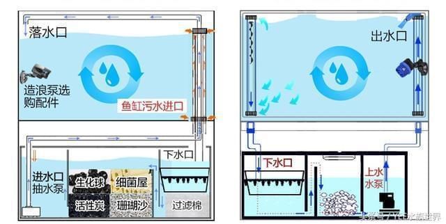 怎樣的魚缸不用換水呢（如何控制魚缸內(nèi)生物數(shù)量生態(tài)魚缸過濾系統(tǒng)的選購） 龍魚百科 第6張