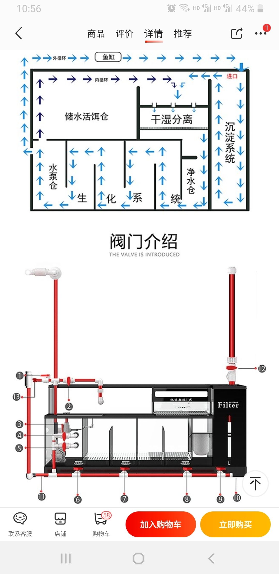 汕尾觀賞魚市場底濾 觀賞魚市場（混養(yǎng)魚） 第2張