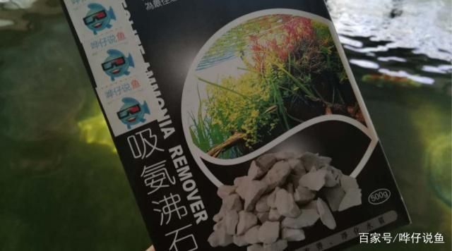 魚缸水加硝化細菌后發(fā)白解決辦法（如何正確使用硝化細菌改善水質(zhì)發(fā)白的應(yīng)急處理措施）