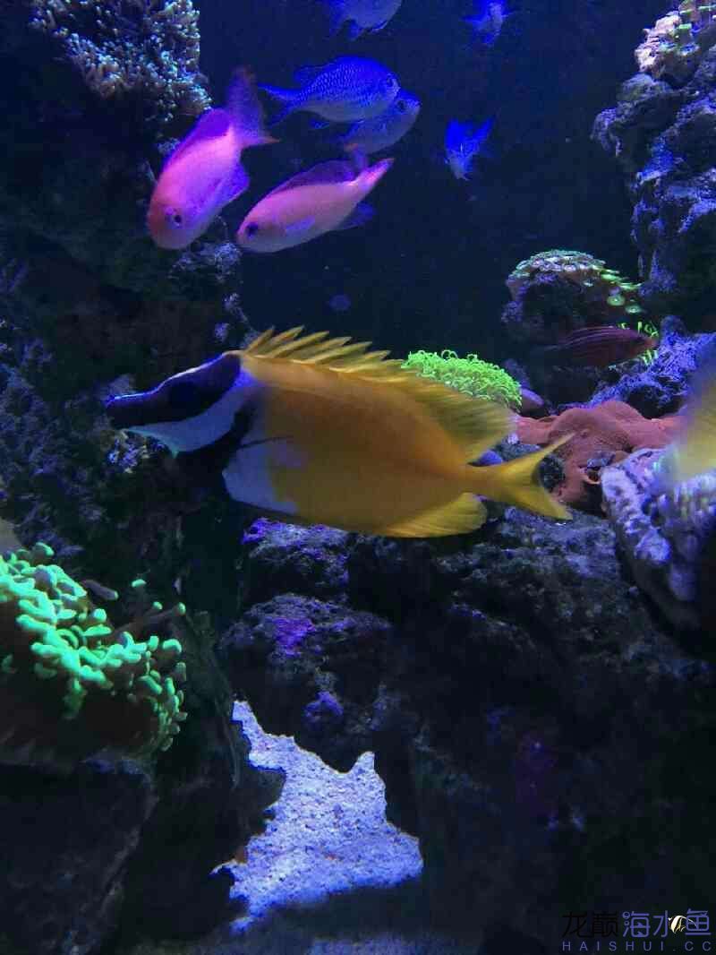 廊坊水族館好久沒有照片