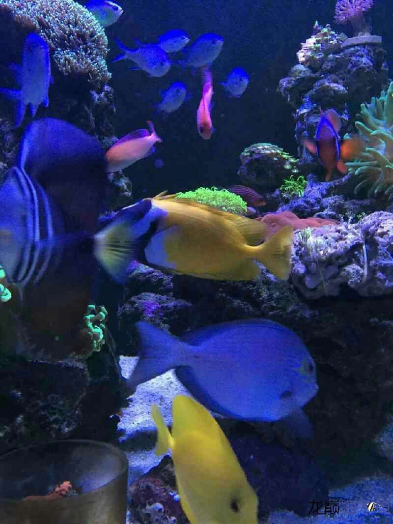 廊坊水族館好久沒有照片