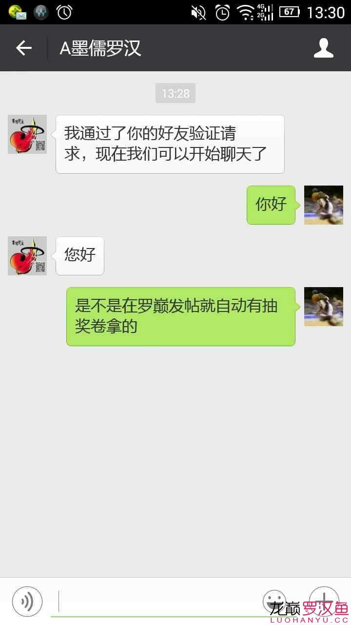 怒江傈僳族自治州觀賞魚市場墨儒羅漢省錢飼料喂法 觀賞魚市場（混養(yǎng)魚） 第6張