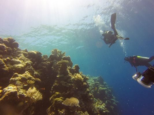 漂亮魚缸說說（魚缸與家居風格融合） 龍魚百科 第5張