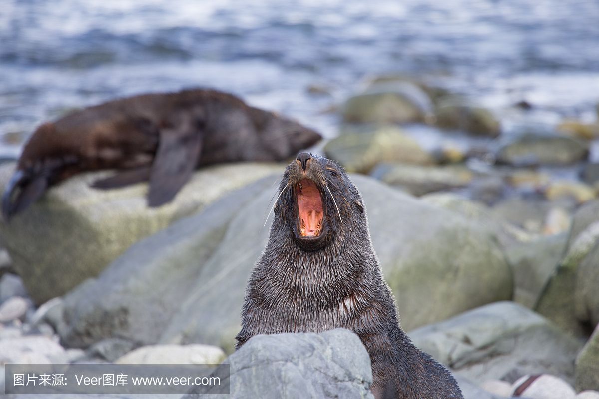 七臺河水族館恩愛的跨國婚姻