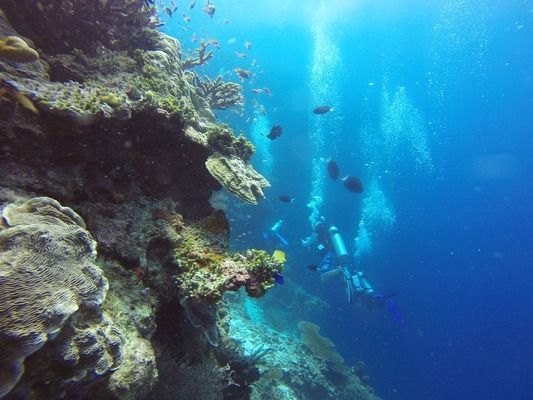 魚缸增氧器只噴水不出氣泡（如何正確安裝魚缸增氧器） 龍魚百科 第3張