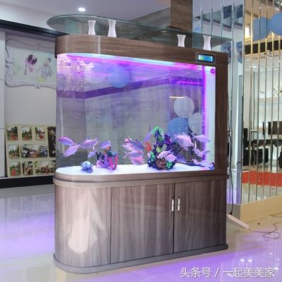 魚缸圖片簡單（簡約魚缸搭配技巧） 龍魚百科 第1張