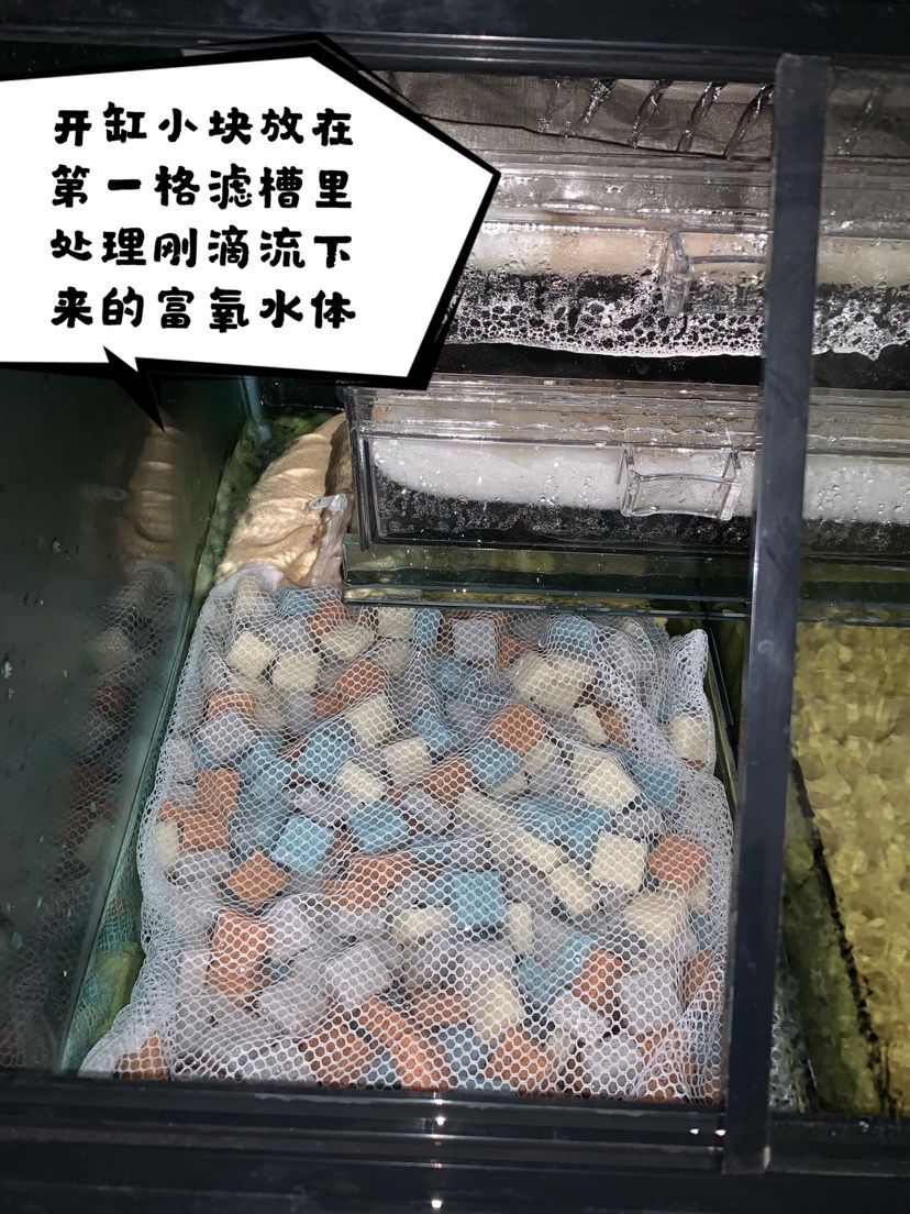 漁夫之寶4D親水有機(jī)濾材開箱計(jì) 泰龐海蓮魚 第8張