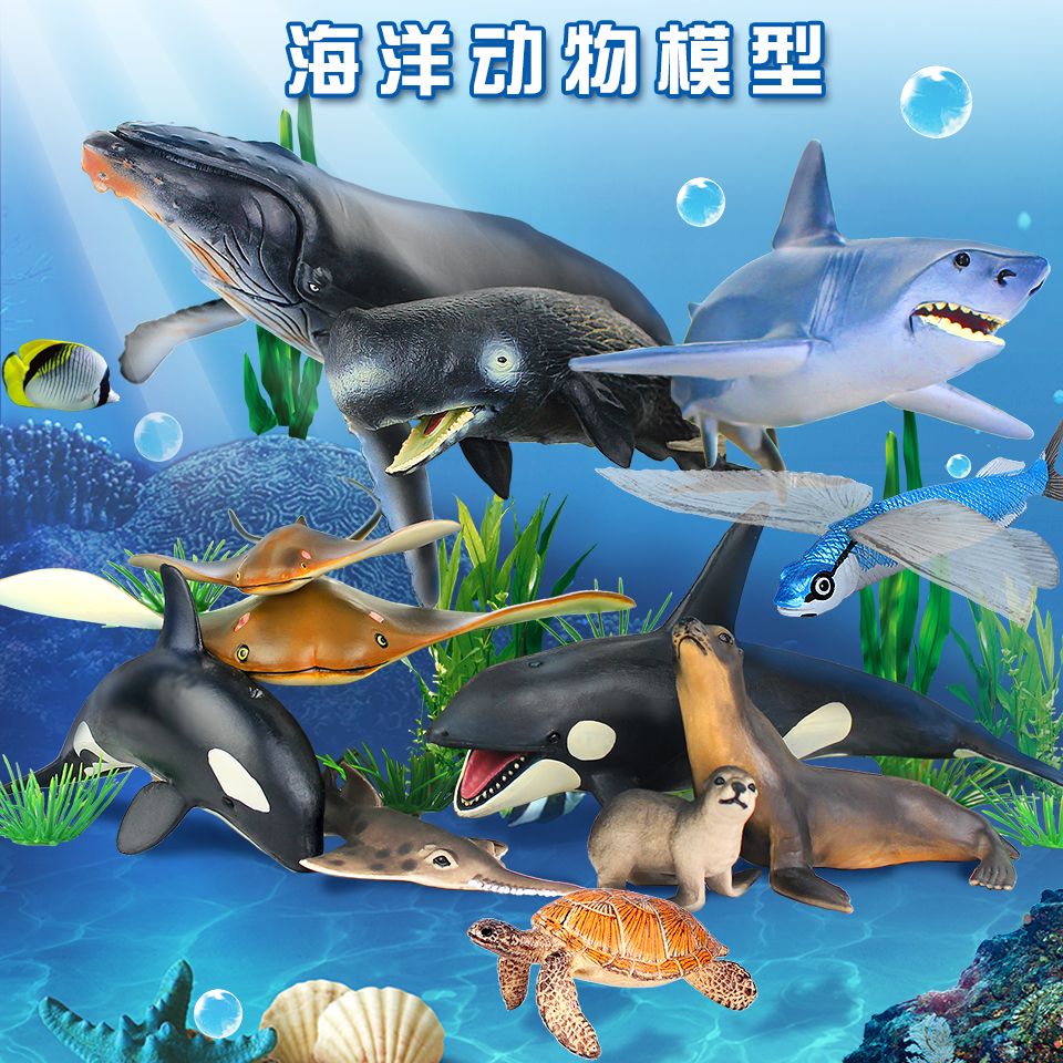 呼倫貝爾水族館求高手指點(diǎn)龍魚(yú)圈