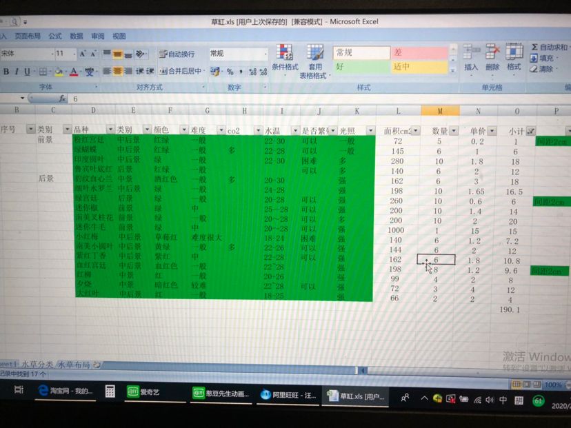 90荷蘭缸開缸記錄 馬拉莫寶石魚苗 第5張