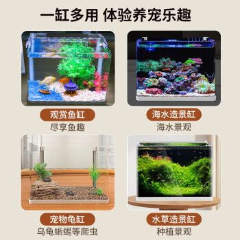 饒平縣坤越泰斗水族館（饒平縣坤越泰斗水族館經(jīng)營產(chǎn)品：一般項目：寵物銷售） 全國觀賞魚市場