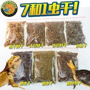 釣魚大咖金龍魚王咋釣（北冥仙境釣魚技巧） 龍魚百科 第2張