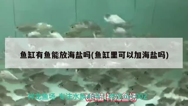 紅龍魚缸可以放海鹽嗎（紅龍魚缸可以放海鹽，存在不同的觀點(diǎn)和建議和建議） 龍魚百科 第4張