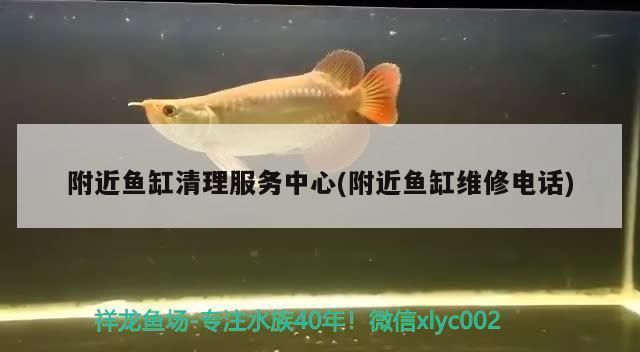 附近修魚缸電話多少（如何選擇專業(yè)的魚缸維修服務(wù)） 龍魚百科 第4張