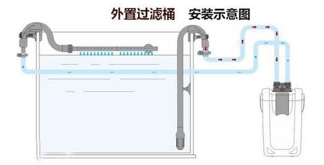 天津市東麗區(qū)雅婷觀賞魚養(yǎng)殖場（天津市東麗區(qū)雅婷觀賞魚養(yǎng)殖場禁止經(jīng)營的項目不得經(jīng)營）