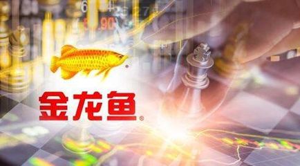 金龍魚不是國(guó)企（金龍魚市場(chǎng)競(jìng)爭(zhēng)力分析） 龍魚百科 第4張