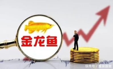 金龍魚2019年營業(yè)額多少（金龍魚2019年具體營業(yè)額數(shù)據(jù)在提供的搜索結(jié)果中沒有直接提及） 龍魚百科 第1張