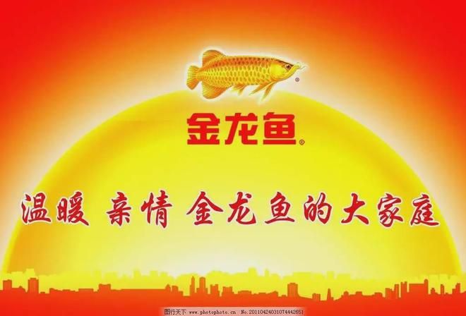 紅龍魚和金龍魚能混養(yǎng)嗎圖片欣賞（紅龍魚和金龍魚可以混養(yǎng)嗎）