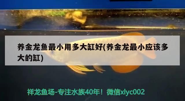 魚缸過濾潛水泵安裝方法圖解（ 魚缸百科