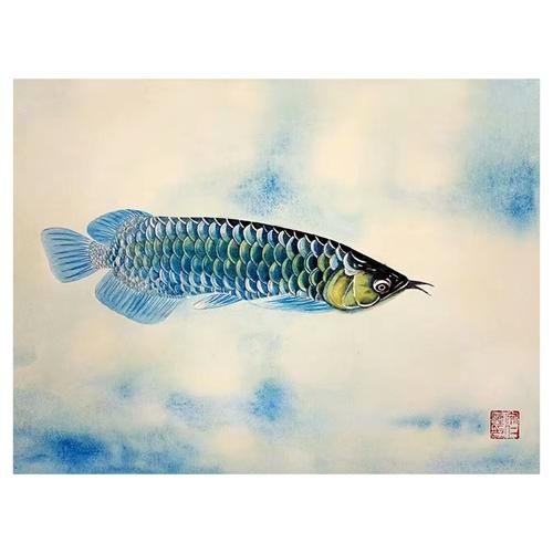 金龍魚(yú)選哪個(gè)品種好養(yǎng)活一點(diǎn)（普通金龍魚(yú)品種選擇技巧，金龍魚(yú)飼料選擇技巧）