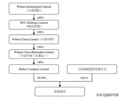 金龍魚大股東是日本人嗎（金龍魚的大股東是日本人嗎？） 龍魚百科 第2張