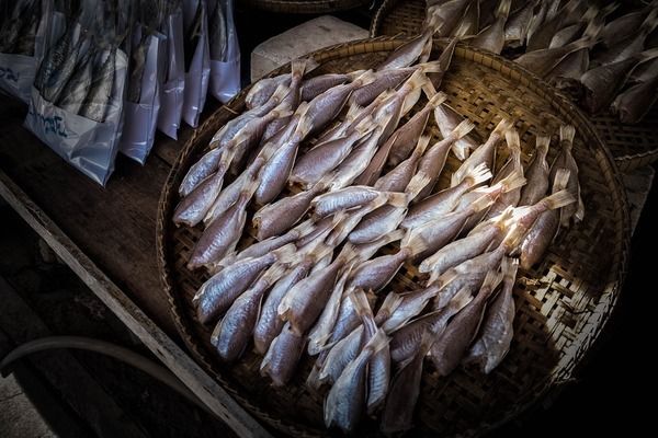 如何讓魚缸水透亮起來（如何正確使用化學(xué)試劑凈化魚缸水） 魚缸百科