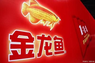 金龍魚外資怎么也能上市（金龍魚為什么能在中國資本市場上市？） 龍魚百科 第2張