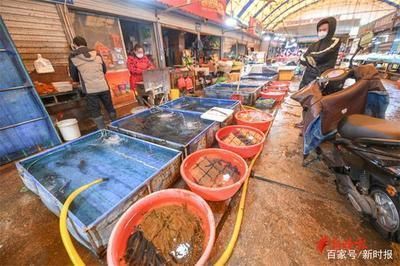 濟南哪里有賣龍魚的市場地址（濟南水族市場價格對比龍魚養(yǎng)殖技巧分享濟南水族市場營業(yè)時間） 龍魚百科 第3張