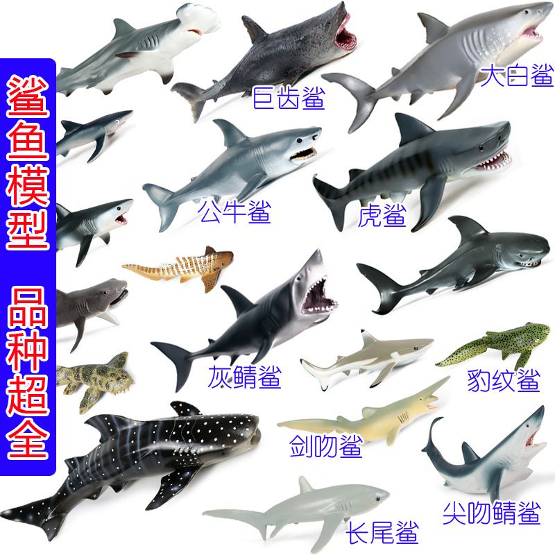 嘉興水族館新手跳海求問