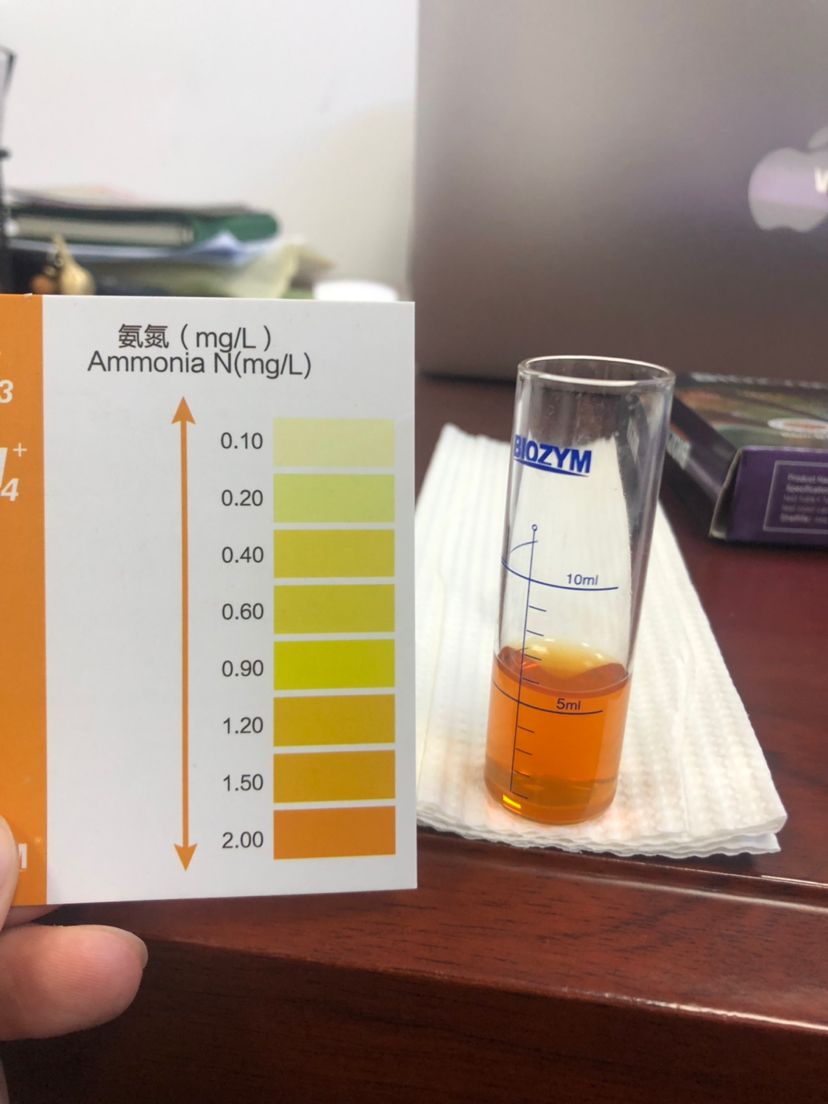 一首涼涼送給我 眼斑魚 第6張