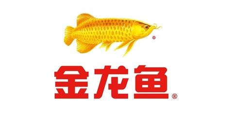 金龍魚營(yíng)銷策劃方案模板（金龍魚營(yíng)銷策劃） 龍魚百科 第1張