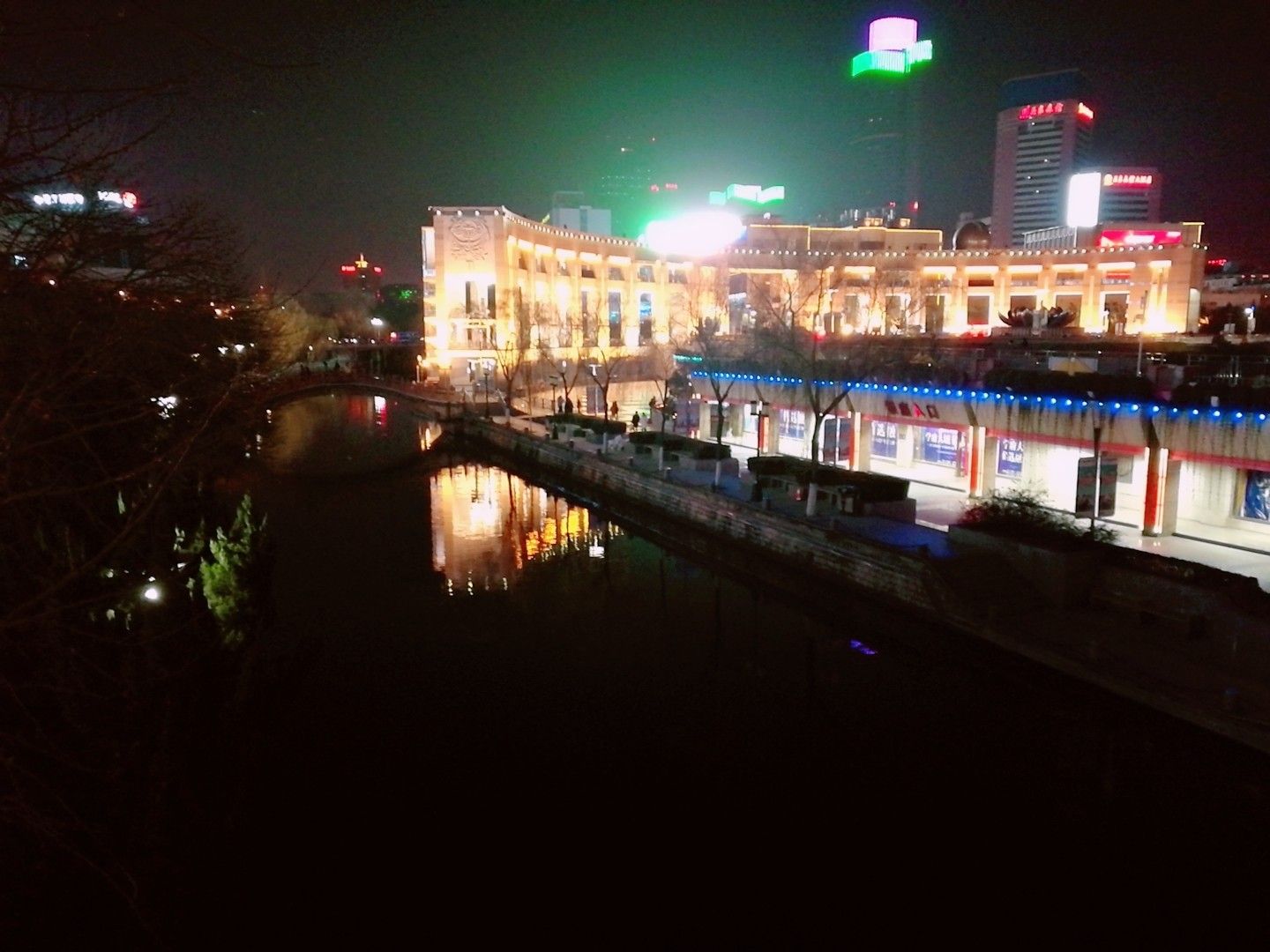 濟南魚友圈泉城夜景魚