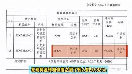 走進(jìn)2019長城杯幕后英雄洪亮