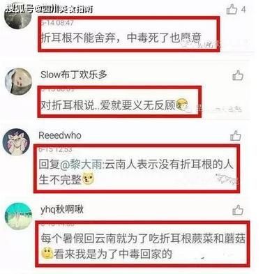 大家?guī)兔纯锤桌镉泻枚嗉?xì)小氣泡怎么解決 水族雜談