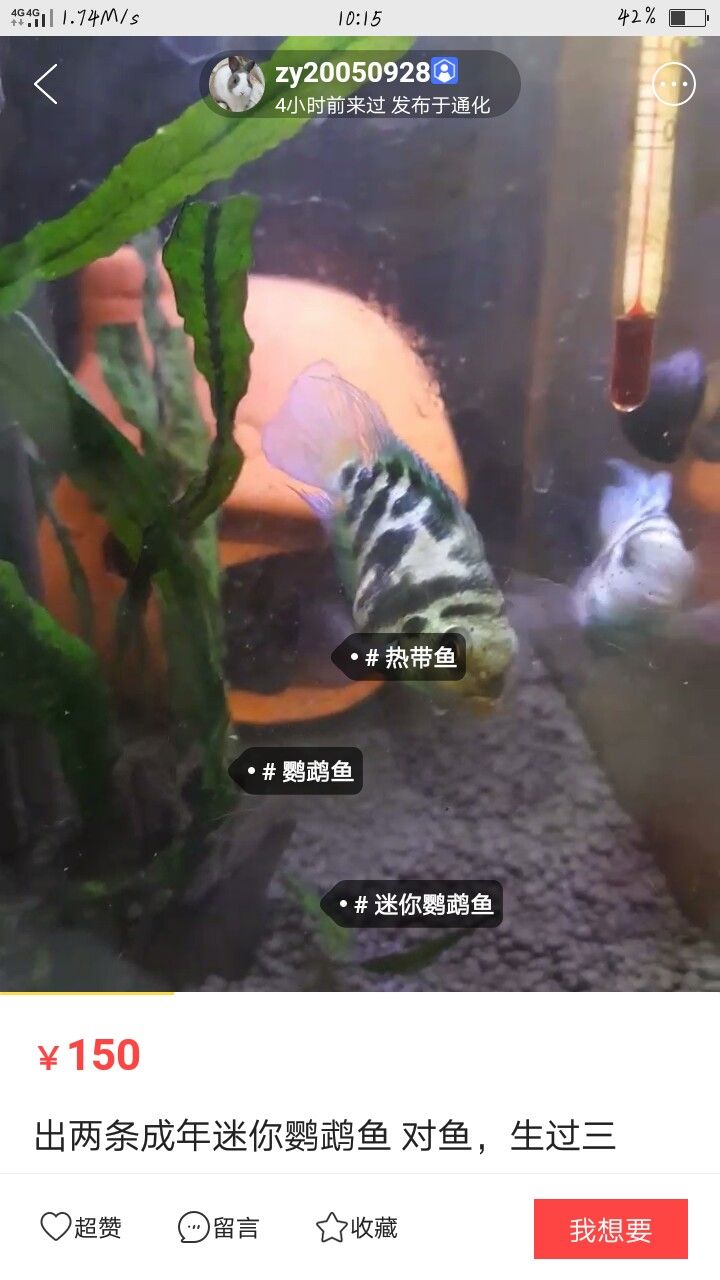 長春魚友站出來