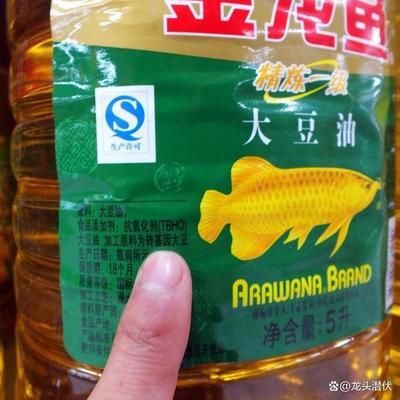 金龍魚 分析（金龍魚企業(yè)怎么樣？） 龍魚百科 第2張