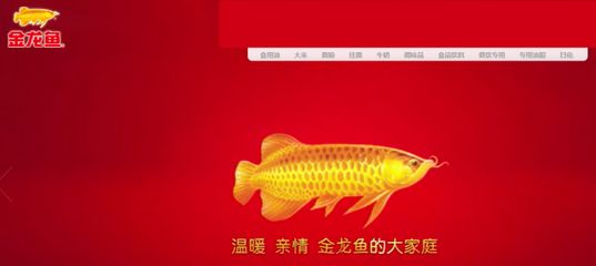 金龍魚(yú)營(yíng)銷(xiāo)案例分析（金龍魚(yú)品牌發(fā)展歷程）