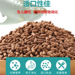 紅龍魚最愛吃什么飼料（紅龍魚成年飼料品牌，紅龍魚發(fā)色飼料效果） 龍魚百科 第4張