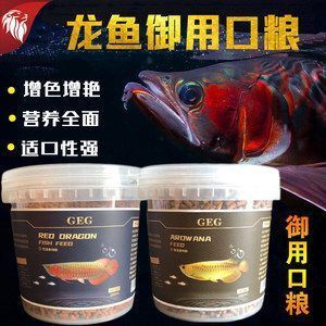 紅龍魚怎樣發(fā)色快（促進紅龍魚發(fā)色的幾種方法）