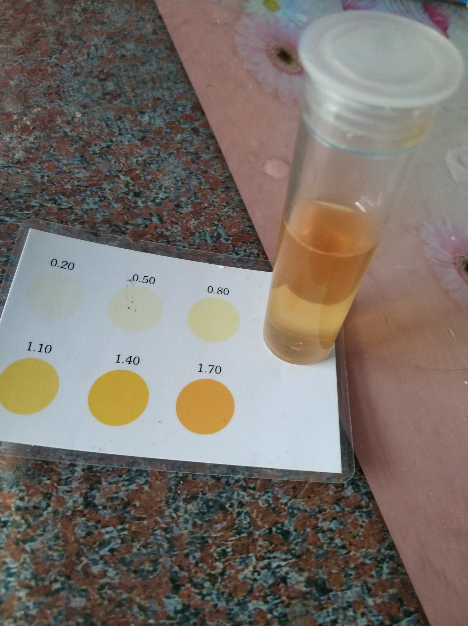 實(shí)測(cè)二氧化氯泡騰片對(duì)硝化細(xì)菌的影響