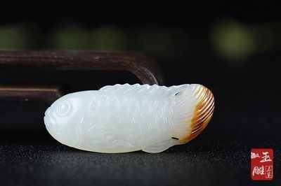 金龍魚(yú)跟紅龍魚(yú)哪個(gè)招財(cái)（金龍魚(yú)與紅龍魚(yú)的區(qū)別） 龍魚(yú)百科 第1張