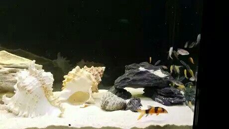 上海水族館照個景