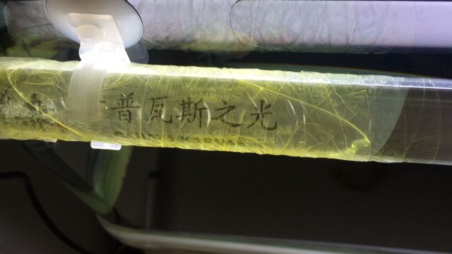 愛魚的改變視覺的盛宴—卡普瓦斯之光赤系列龍魚燈試用 大嘴鯨魚 第5張