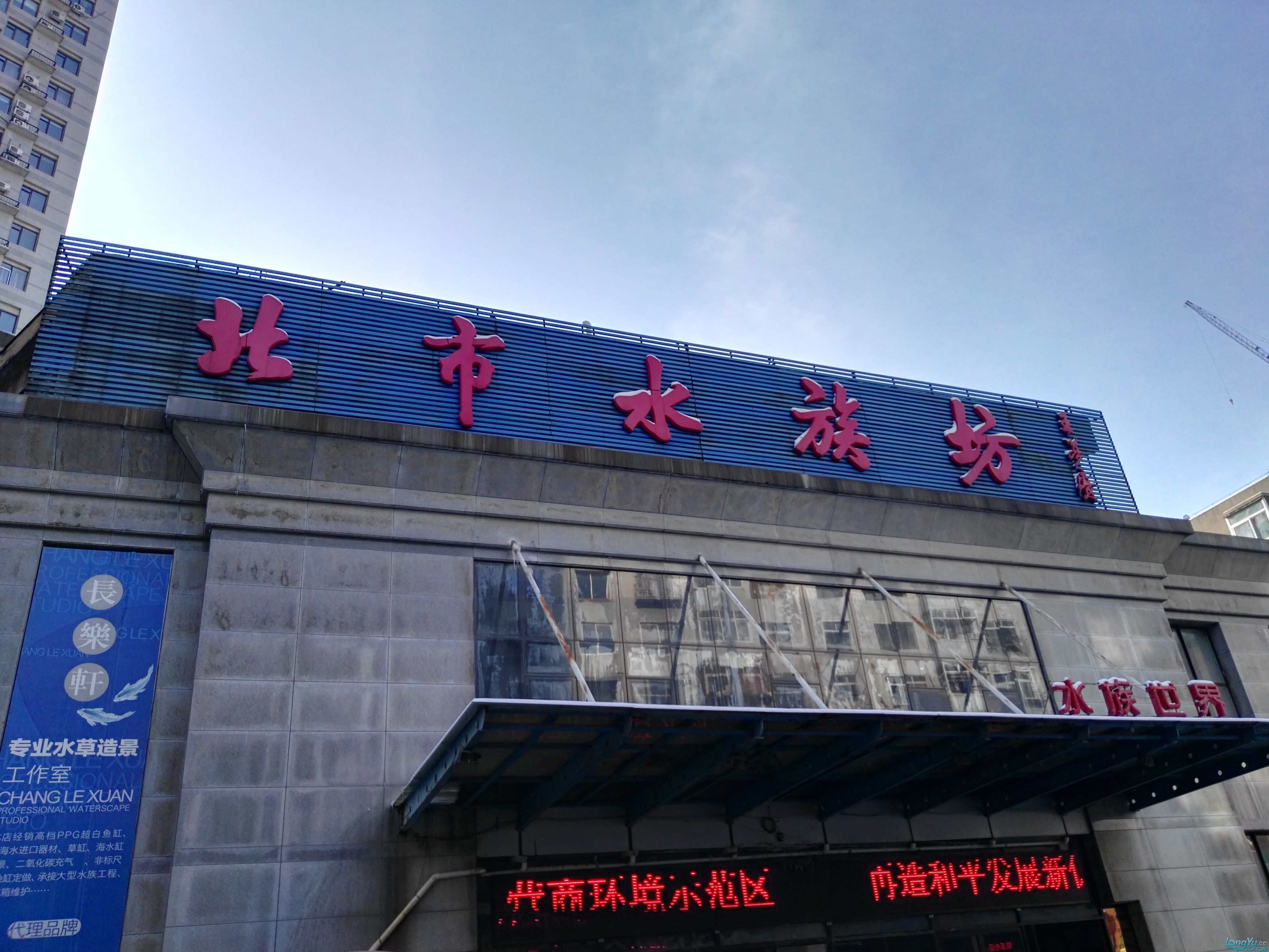 上周日沈陽(yáng)北市場(chǎng)魚市游玩