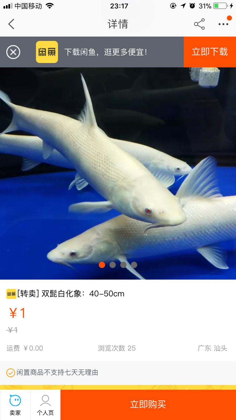 滁州水族館誰知道這個魚是什么魚呀 大白鯊魚 第2張