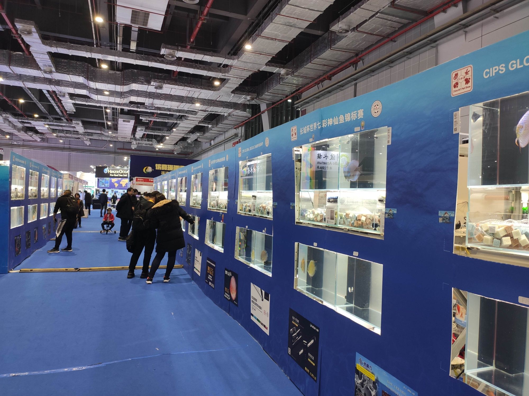 鄂爾多斯水族館查一下這個蛋糕濾材贊助商什么來頭 銀古魚苗 第3張